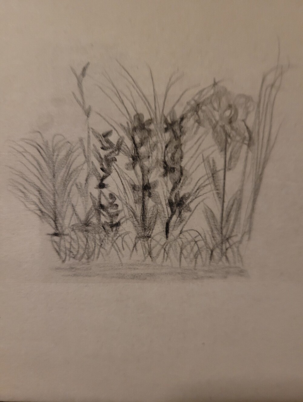 "Box Art" - Picture 3 of 9